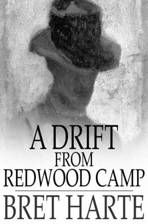 Cover of the book A Drift From Redwood Camp by Norval A. Hawkins