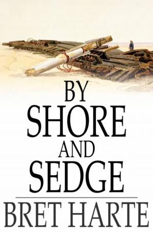 Cover of the book By Shore and Sedge by Barbara Laban