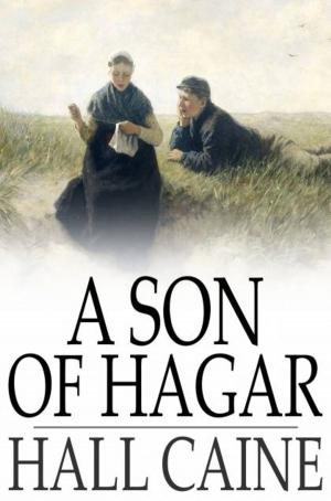 Cover of the book A Son of Hagar by Honore de Balzac