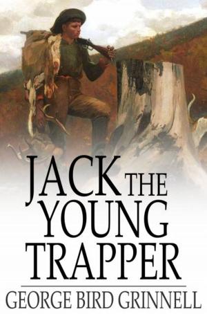 Cover of the book Jack the Young Trapper by Charlotte M. Brame