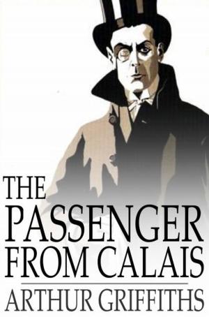 Book cover of The Passenger from Calais