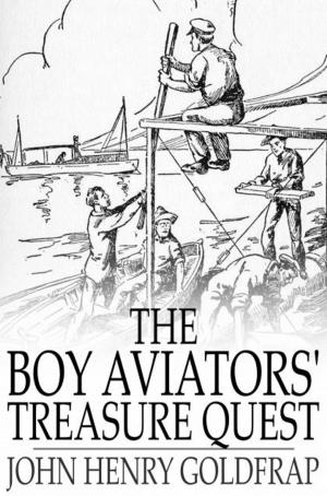 Cover of The Boy Aviators' Treasure Quest