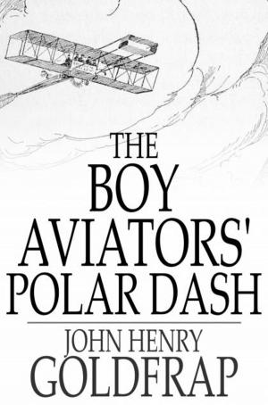 Cover of the book The Boy Aviators' Polar Dash by Roy J. Snell