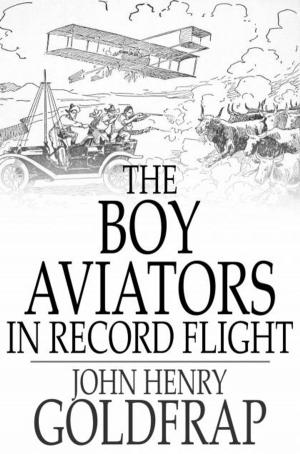 Cover of the book The Boy Aviators in Record Flight by Poul Anderson