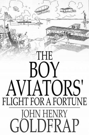 Cover of The Boy Aviators' Flight for a Fortune