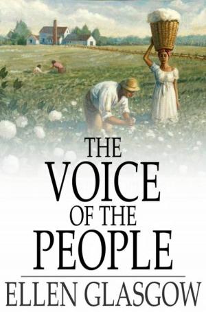 bigCover of the book The Voice of the People by 