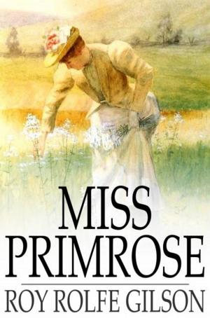 Cover of the book Miss Primrose by Jeremy Bentham
