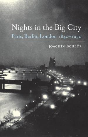 bigCover of the book Nights in the Big City by 