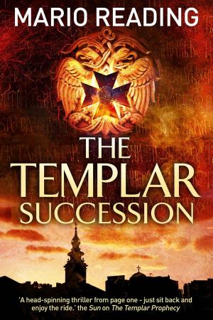 Book cover of Templar Succession