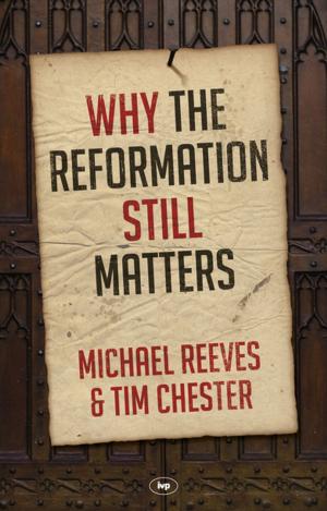 Book cover of Why the Reformation Still Matters