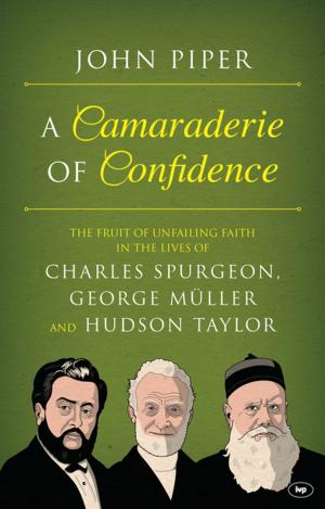 Cover of the book A Camaraderie of Confidence by Steve Brady, Elizabeth McQuoid