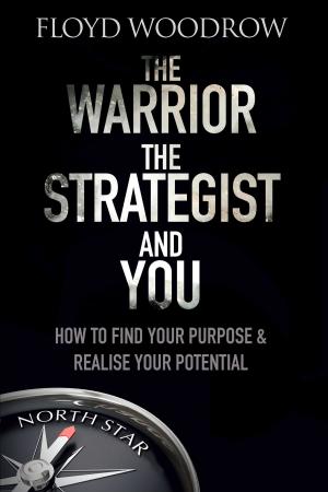 Book cover of Warrior, the Strategist and You