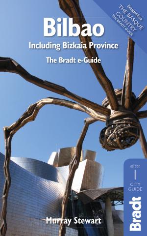 Cover of the book Bilbao : Including Bizkaia Province by Mike Unwin