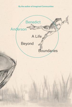 Cover of the book A Life Beyond Boundaries by Daniel Finn