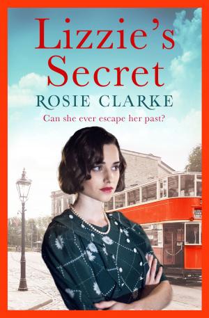 Cover of the book Lizzie's Secret by Rosie Clarke