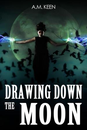 Book cover of Drawing Down The Moon