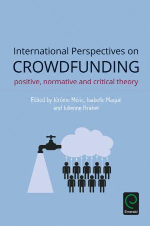 Cover of the book International Perspectives on Crowdfunding by Rajib Shaw