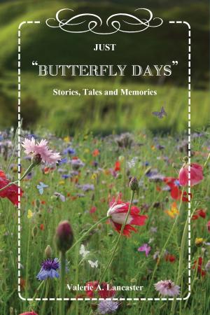 Cover of the book Butterfly Days by Phetra H Novak