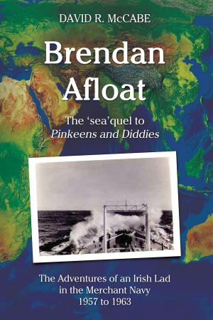 Cover of the book Brendan Afloat by Terry Kerr