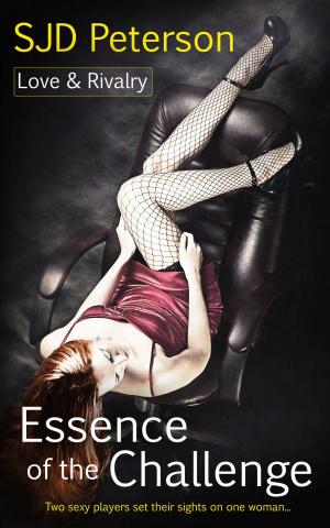 Cover of the book Essence of the Challenge by Sean Michael