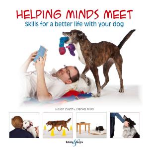 Book cover of Helping minds meet