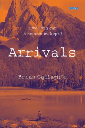 Cover of the book Arrivals by Bridget Hourican
