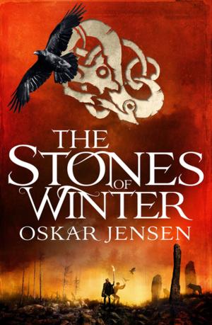Cover of the book The Stones of Winter by Simon Cheshire
