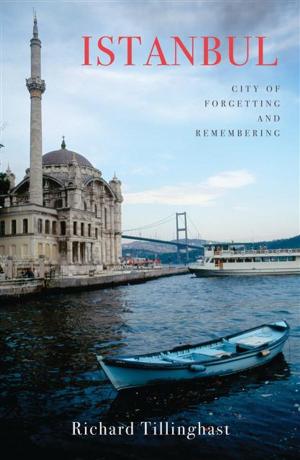 Cover of the book Istanbul by Lars Gustafsson, Agneta Blomqvist