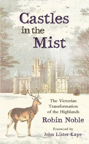 Cover of the book Castles in the Mist by Victoria Hendry