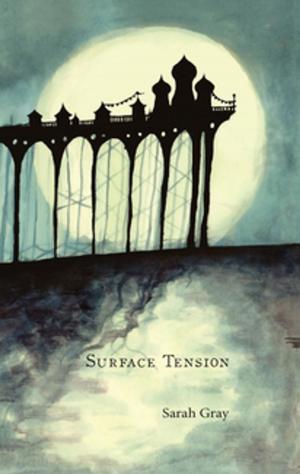Cover of the book Surface Tension by Rainer Mexstres