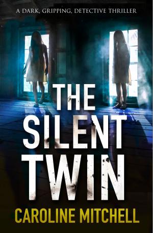 Cover of the book The Silent Twin by C.J. Daugherty