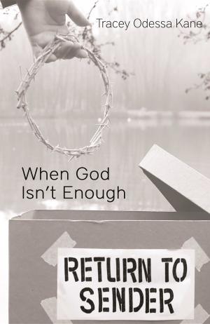 Cover of the book When God Isn't Enough by Ina Dempster