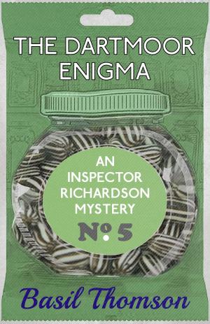Book cover of The Dartmoor Enigma