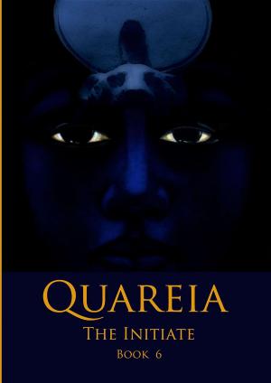 Book cover of Quareia The Initiate Book Six