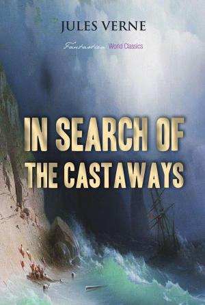 Cover of the book In Search of the Castaways by Sarah Stegall