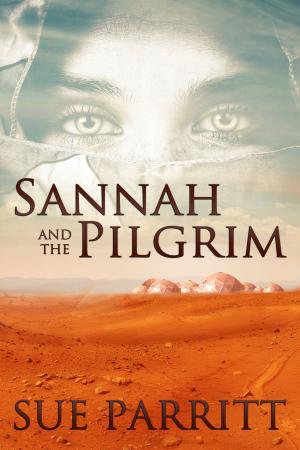 Cover of the book Sannah and the Pilgrim by Kathryn Gossow
