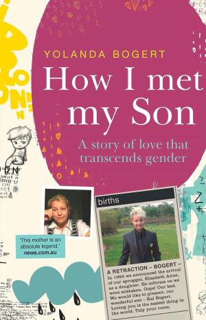 Cover of the book How I Met My Son by Melissa Ashley