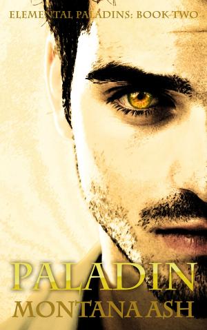 Cover of the book Paladin (Book Two of the Elemental Paladins series) by Paris Portingale