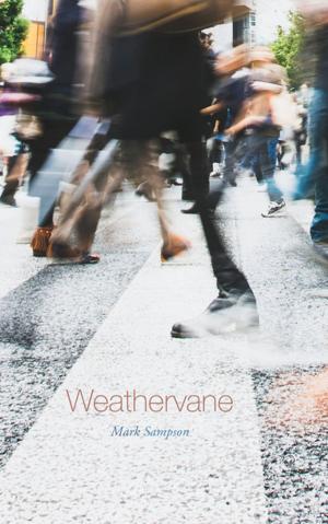 bigCover of the book Weathervane by 