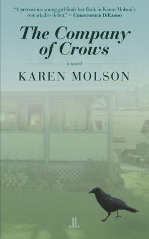 Cover of the book The Company of Crows by Elaine Kalman Naves