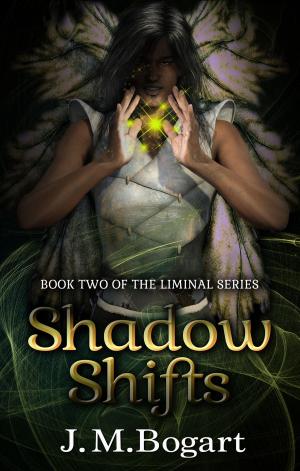 bigCover of the book Shadow Shifts by 