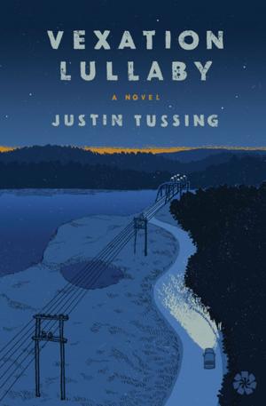 Cover of the book Vexation Lullaby by Sung J. Woo