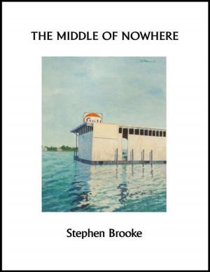 Cover of the book The Middle of Nowhere by Stephen Brooke