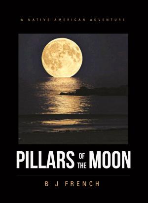 Cover of the book Pillars of the Moon by Connie M Leach EdD