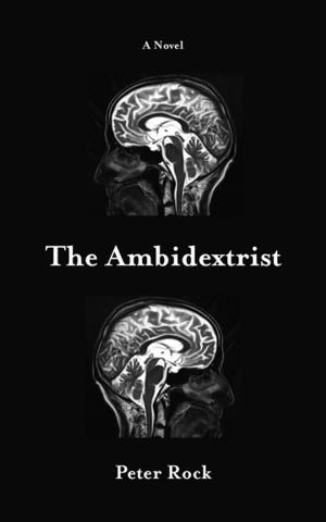 Cover of the book The Ambidextrist by Theodora Keogh, Lidia Yuknavitch