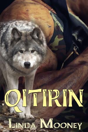 Cover of the book Qitirin by Alexis Dare