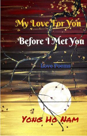 bigCover of the book My Love For You Before i Met You by 