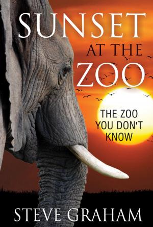 Book cover of Sunset at the Zoo
