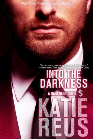 Book cover of Into the Darkness