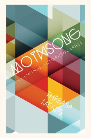 Cover of the book Mothsong by Christopher Zeischegg, Danny Wylde